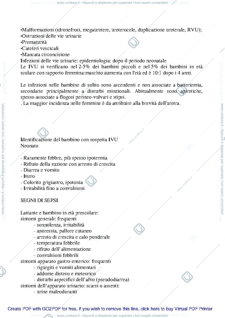 Anteprima pagina 2 — IVU