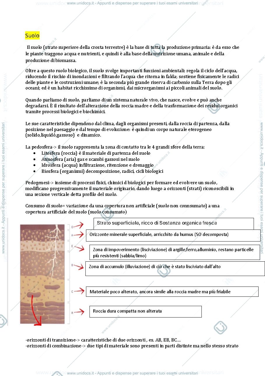 Anteprima pagina 1 — Appunti