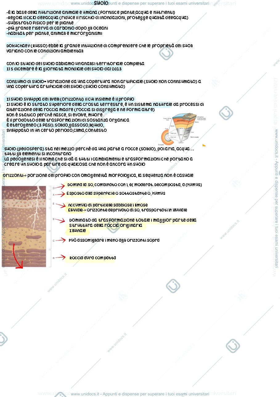 Anteprima pagina 2 — Lezione