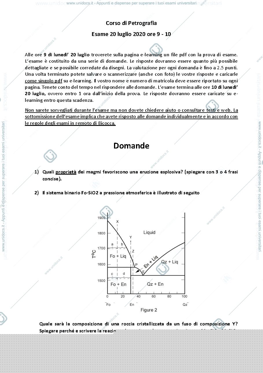 Anteprima pagina 1 — tema d'esame