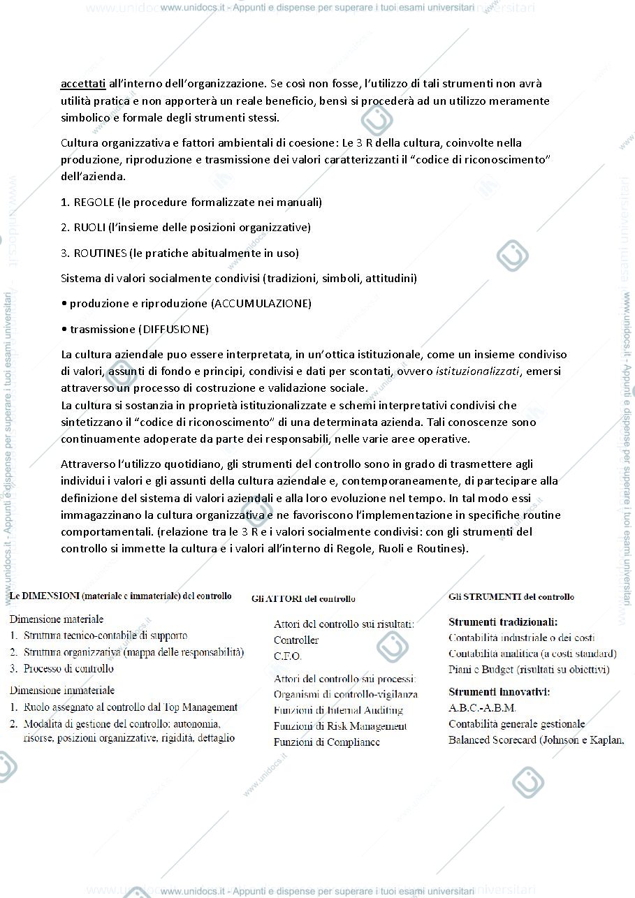 Anteprima pagina 3 — Riassunto Pianificazione e controllo