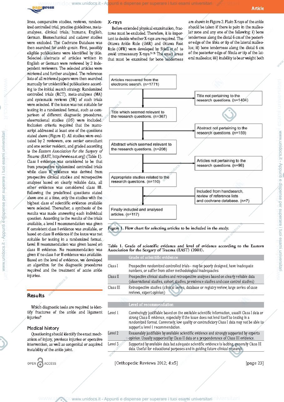 Anteprima pagina 2 — traduzione articolo sul trattamento conservativo della caviglia 1