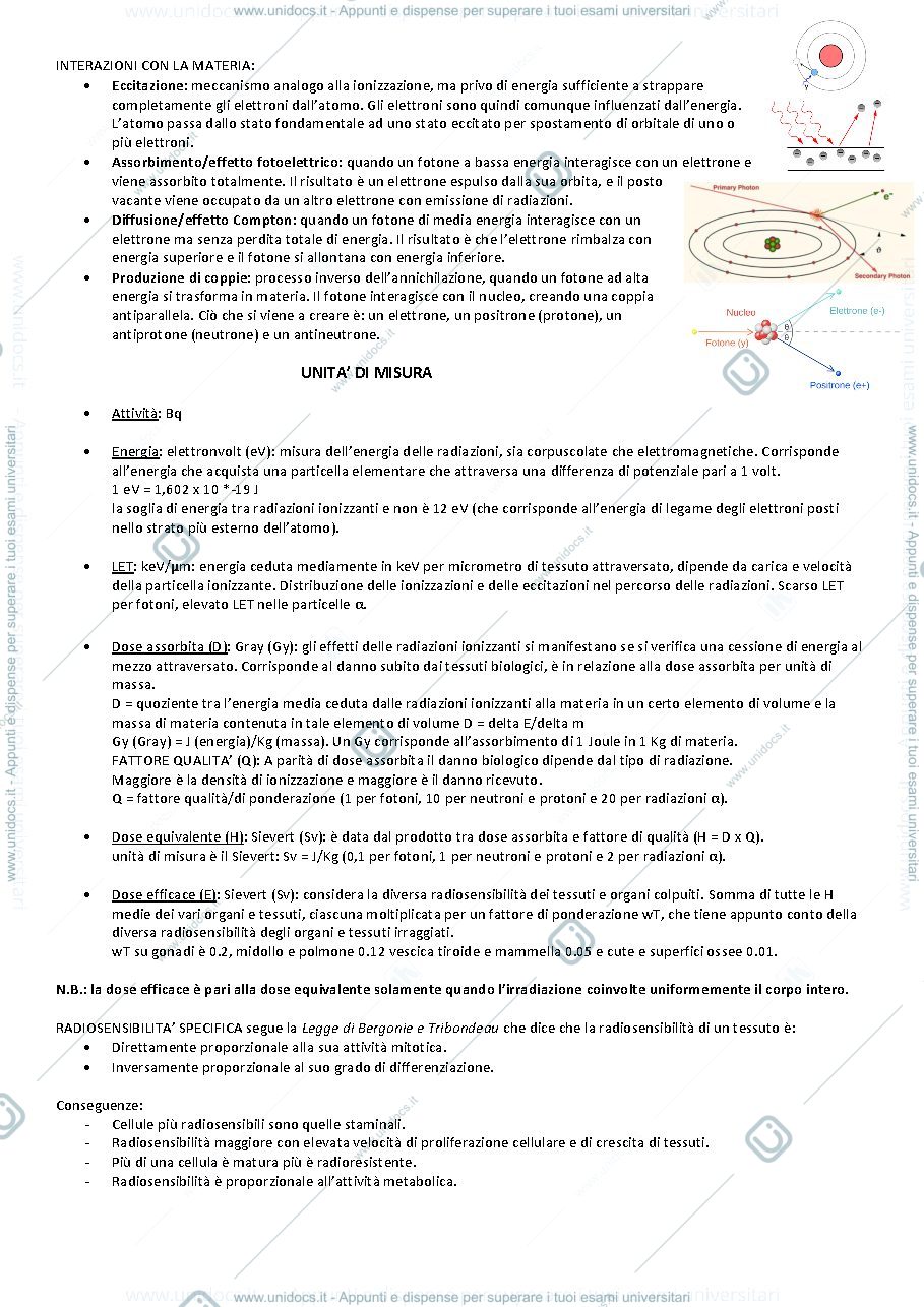Anteprima pagina 3 — radioprotezione