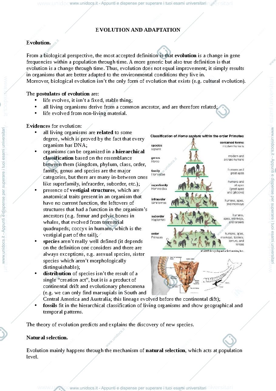 Anteprima pagina 1 — Appunti di primate adaptation and evolution (a.a. 2020/2021) (pt1)