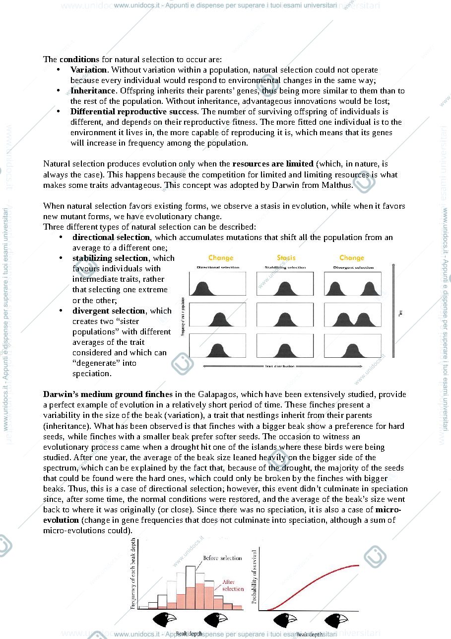 Anteprima pagina 2 — Appunti di primate adaptation and evolution (a.a. 2020/2021) (pt1)