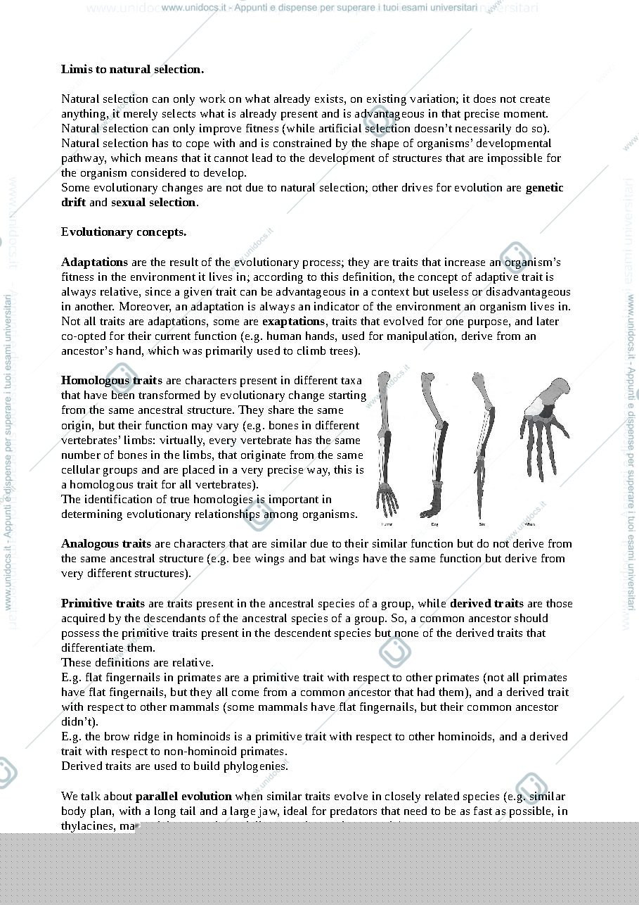 Anteprima pagina 4 — Appunti di primate adaptation and evolution (a.a. 2020/2021) (pt1)