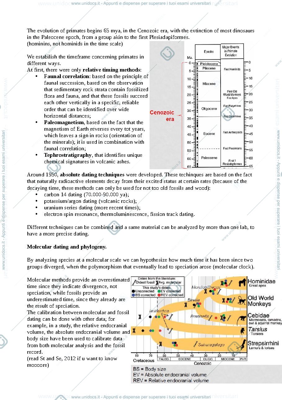 Anteprima pagina 2 — Appunti di primate adaptation and evolution (a.a. 2020/2021) (pt2)