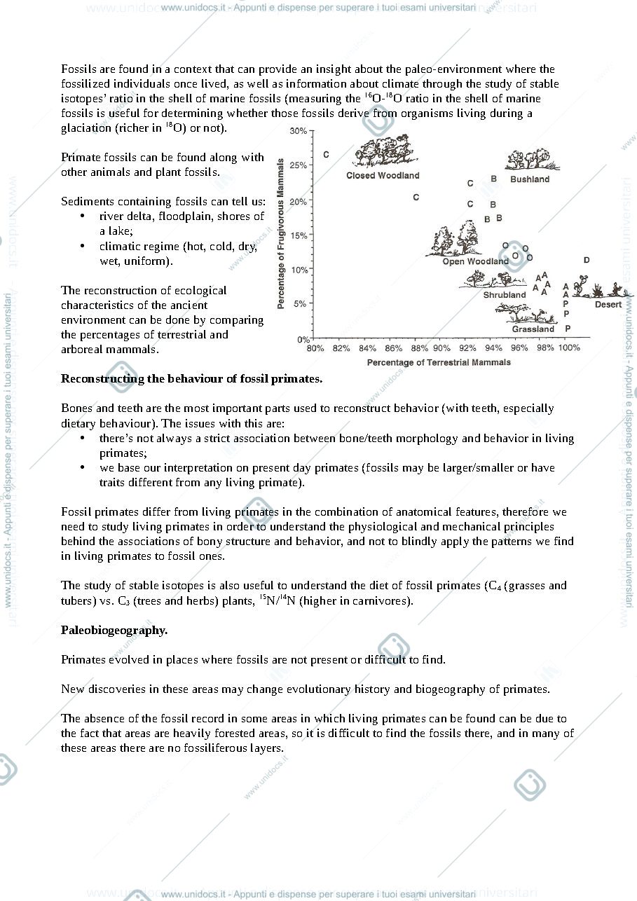 Anteprima pagina 4 — Appunti di primate adaptation and evolution (a.a. 2020/2021) (pt2)