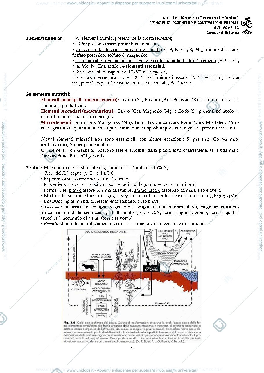 Anteprima pagina 1 — Elementi minerali