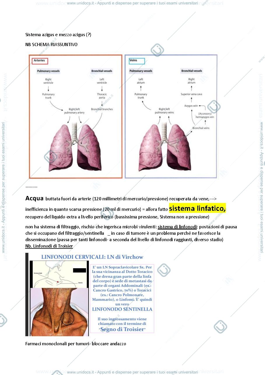 Anteprima pagina 2 — Appun ti anatomia di sante