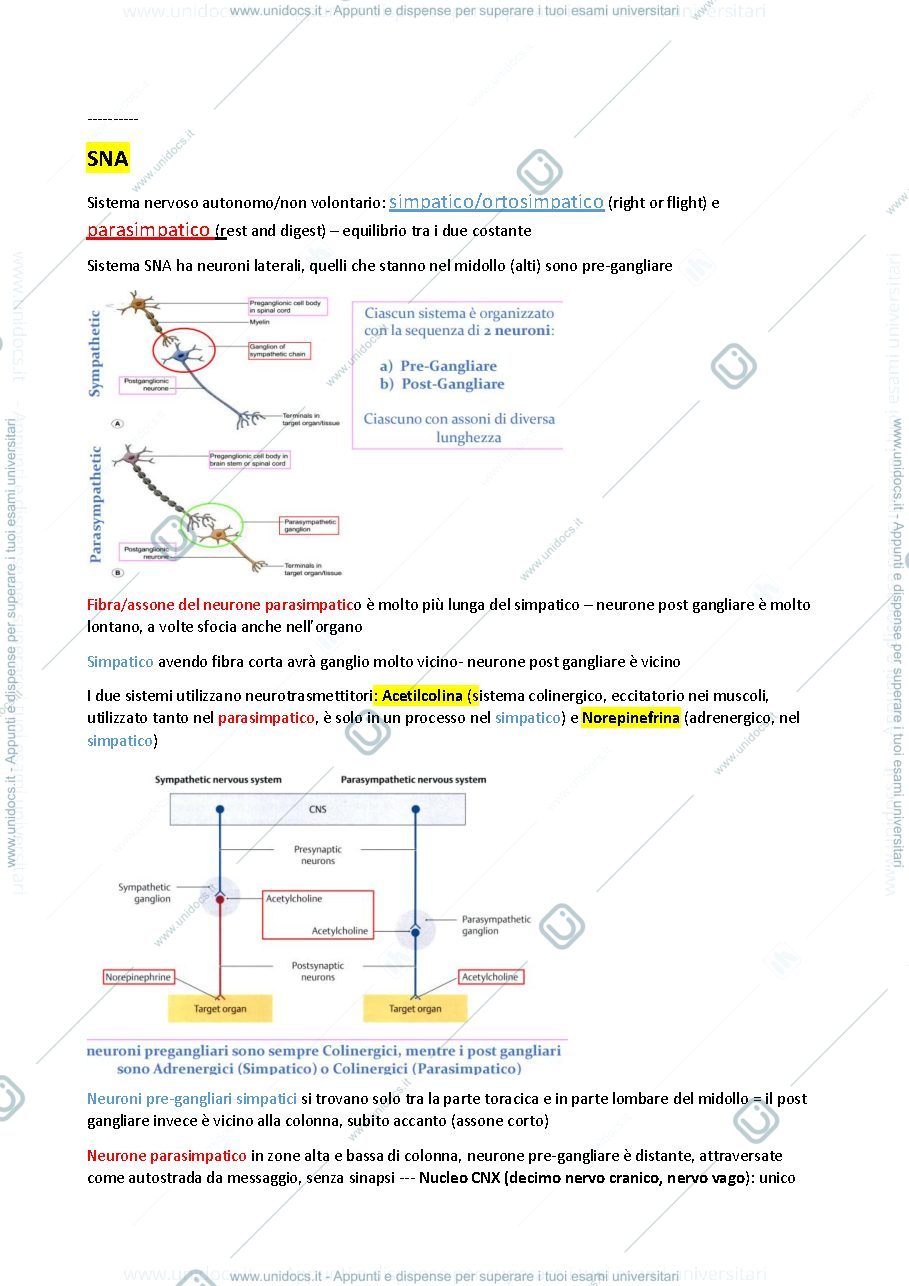 Anteprima pagina 3 — Appun ti anatomia di sante