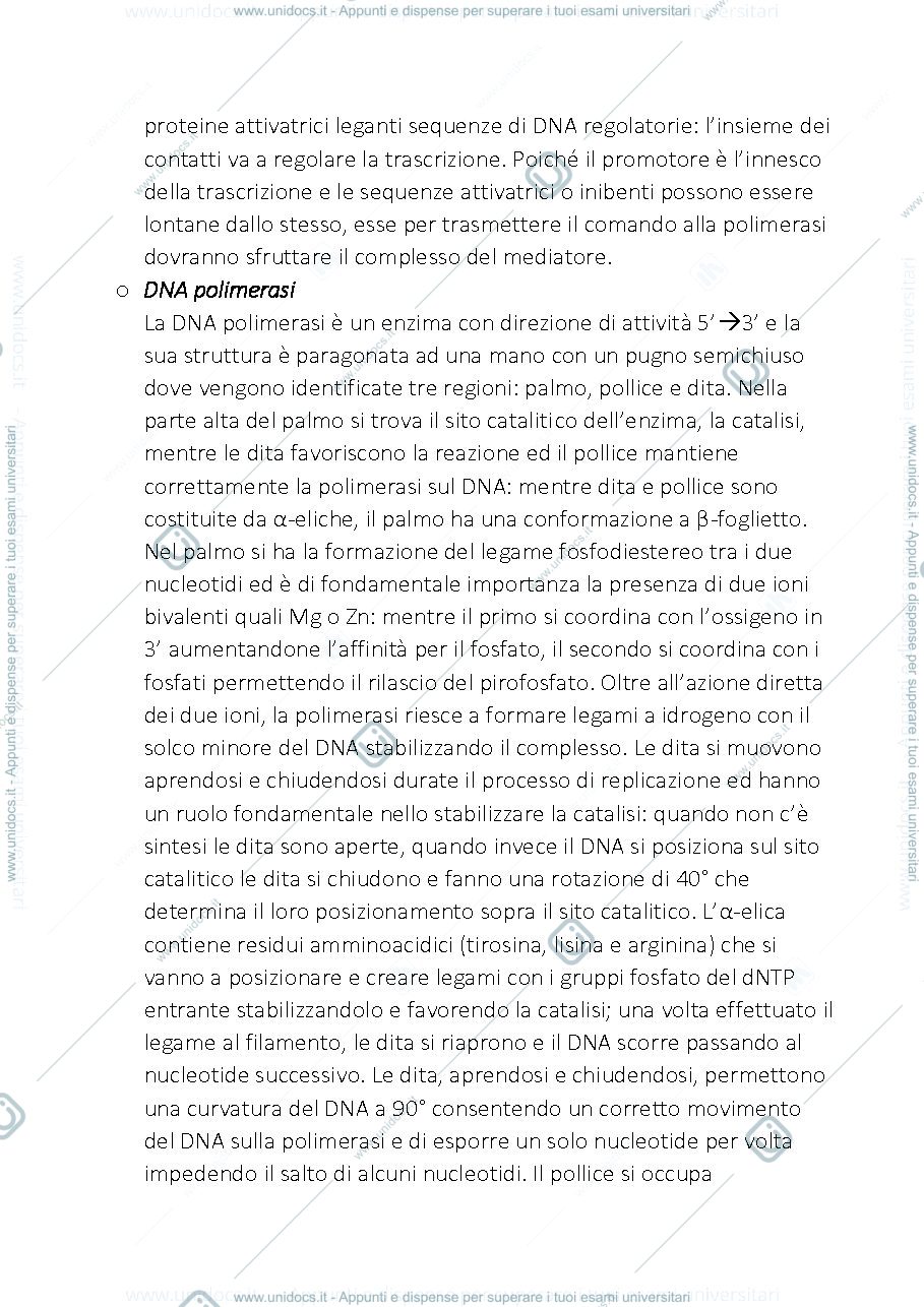 Anteprima pagina 3 — PRINCIPI DI BIOLOGIA MOLECOLARE