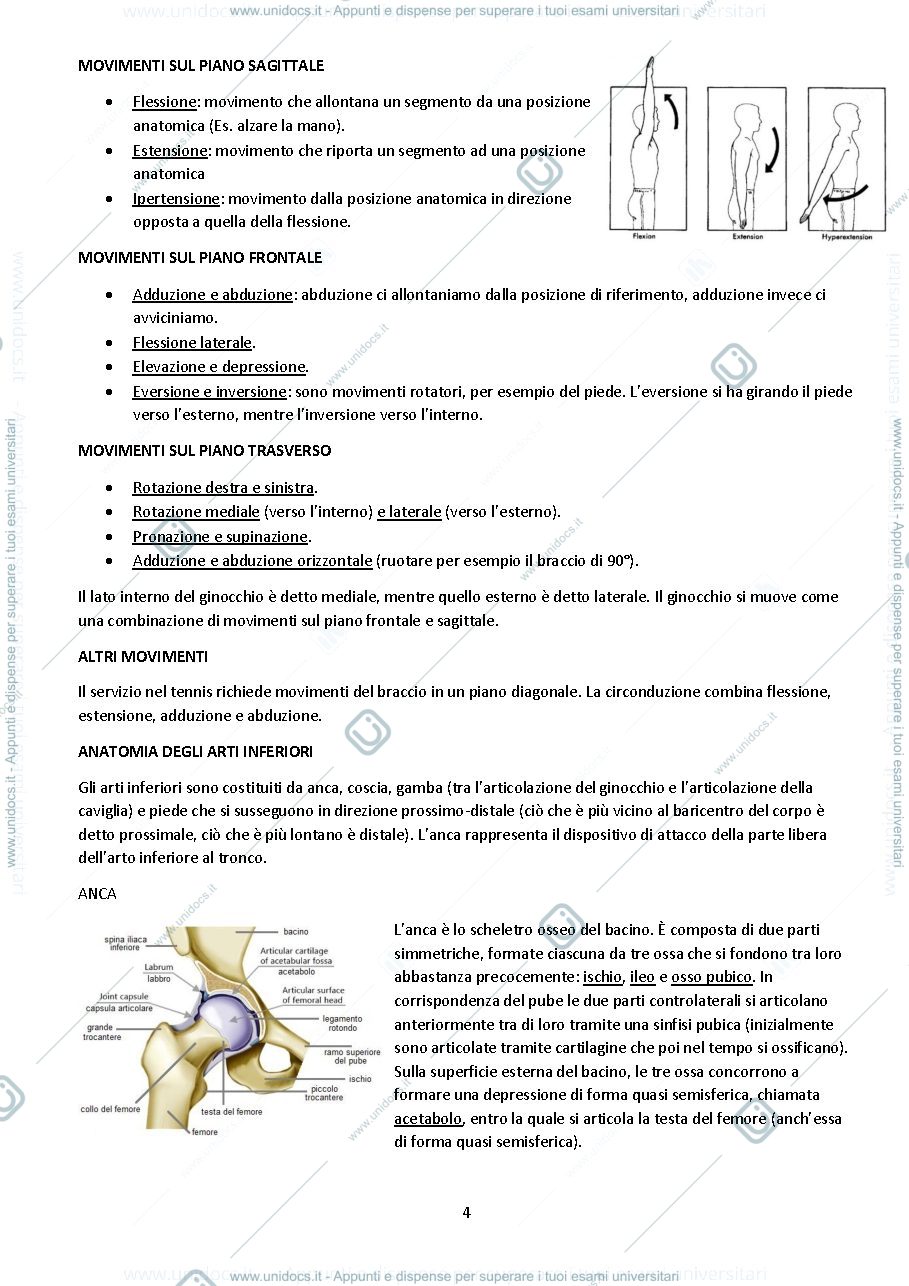 Anteprima pagina 4 — Appunti Principi di biomeccanica