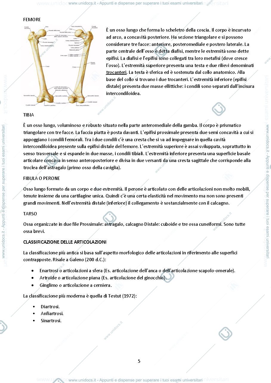 Anteprima pagina 5 — Appunti Principi di biomeccanica