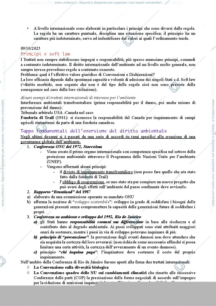 Anteprima pagina 3 — Principi di diritto ambientale