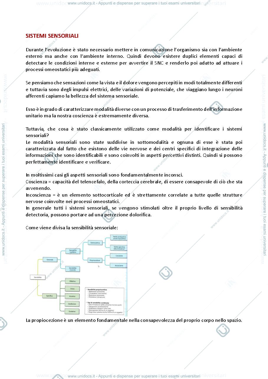 Anteprima pagina 1 — Principi di fisiologia 