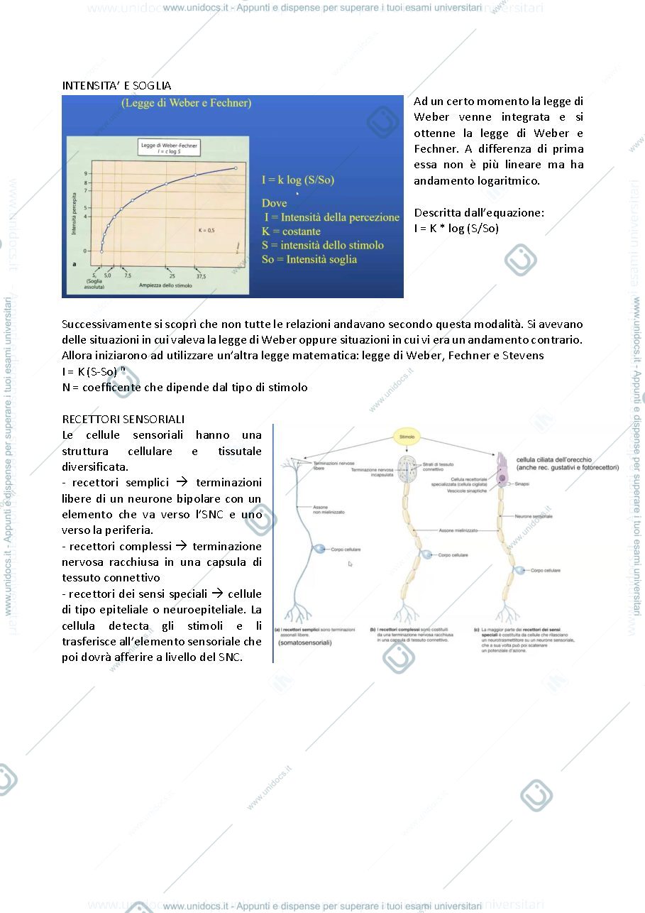 Anteprima pagina 4 — Principi di fisiologia 