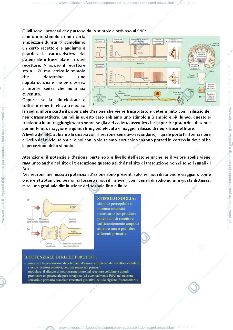 Anteprima pagina 5 — Principi di fisiologia 