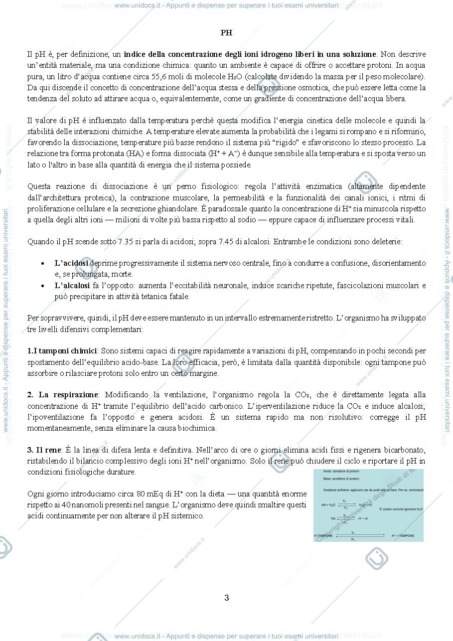 Anteprima pagina 3 — fisiologia
