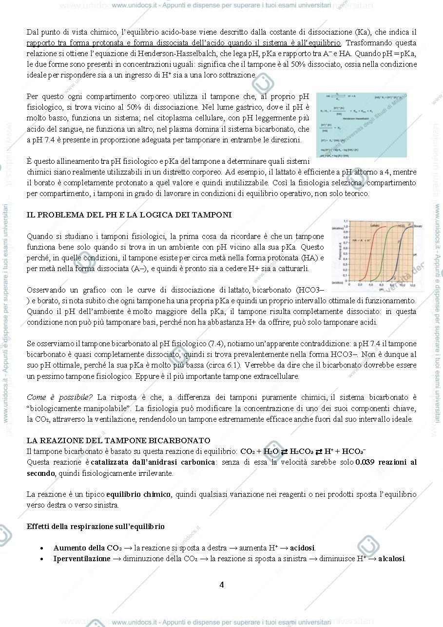 Anteprima pagina 4 — fisiologia