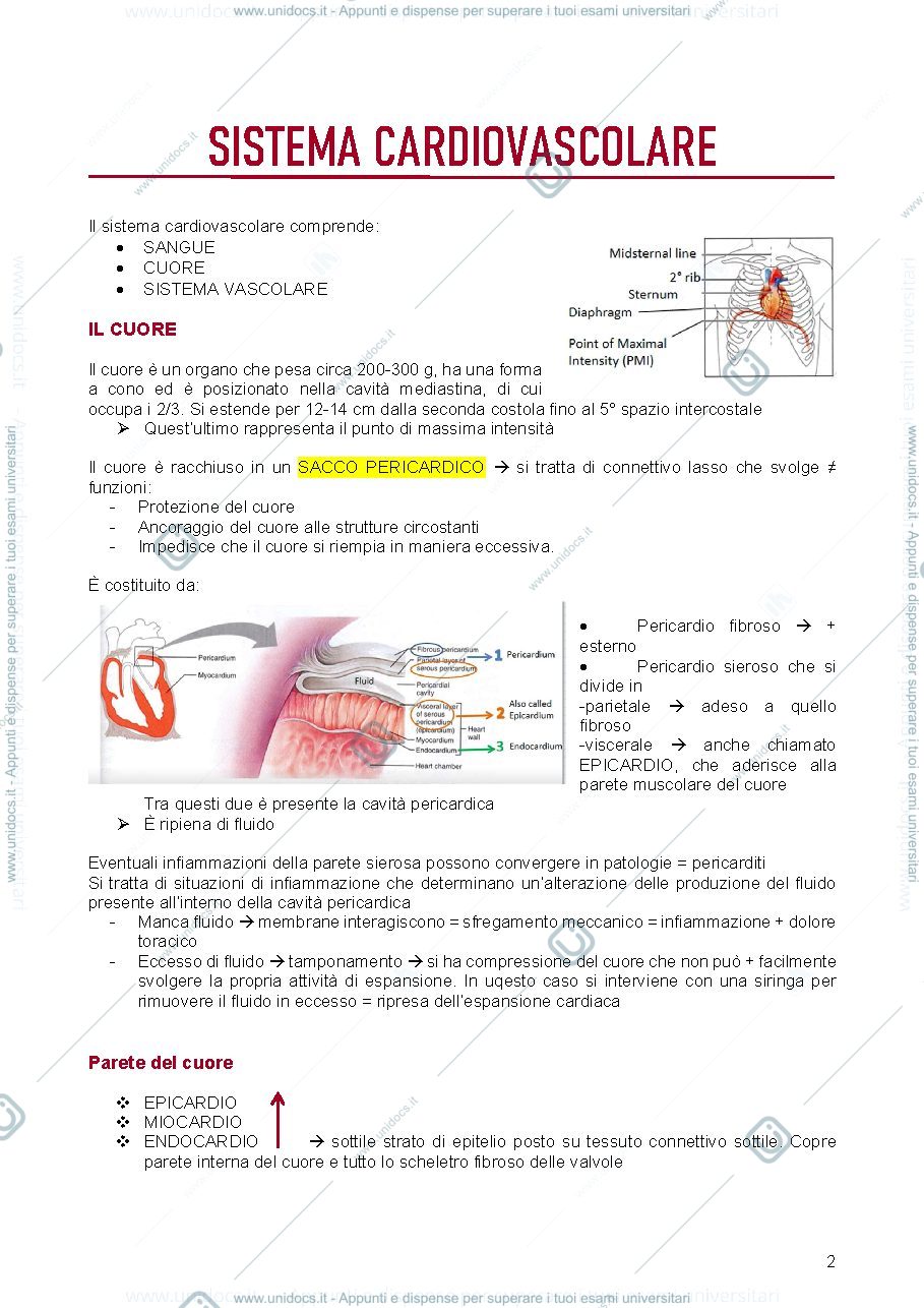 Anteprima pagina 2 — appunti principi di fisiologia 