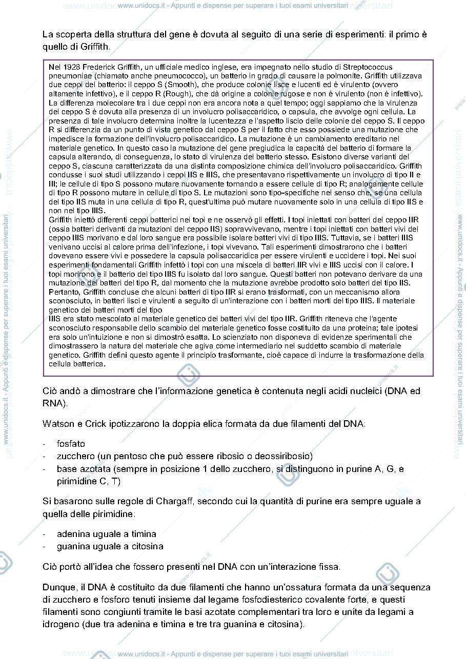 Anteprima pagina 2 — Genetica 