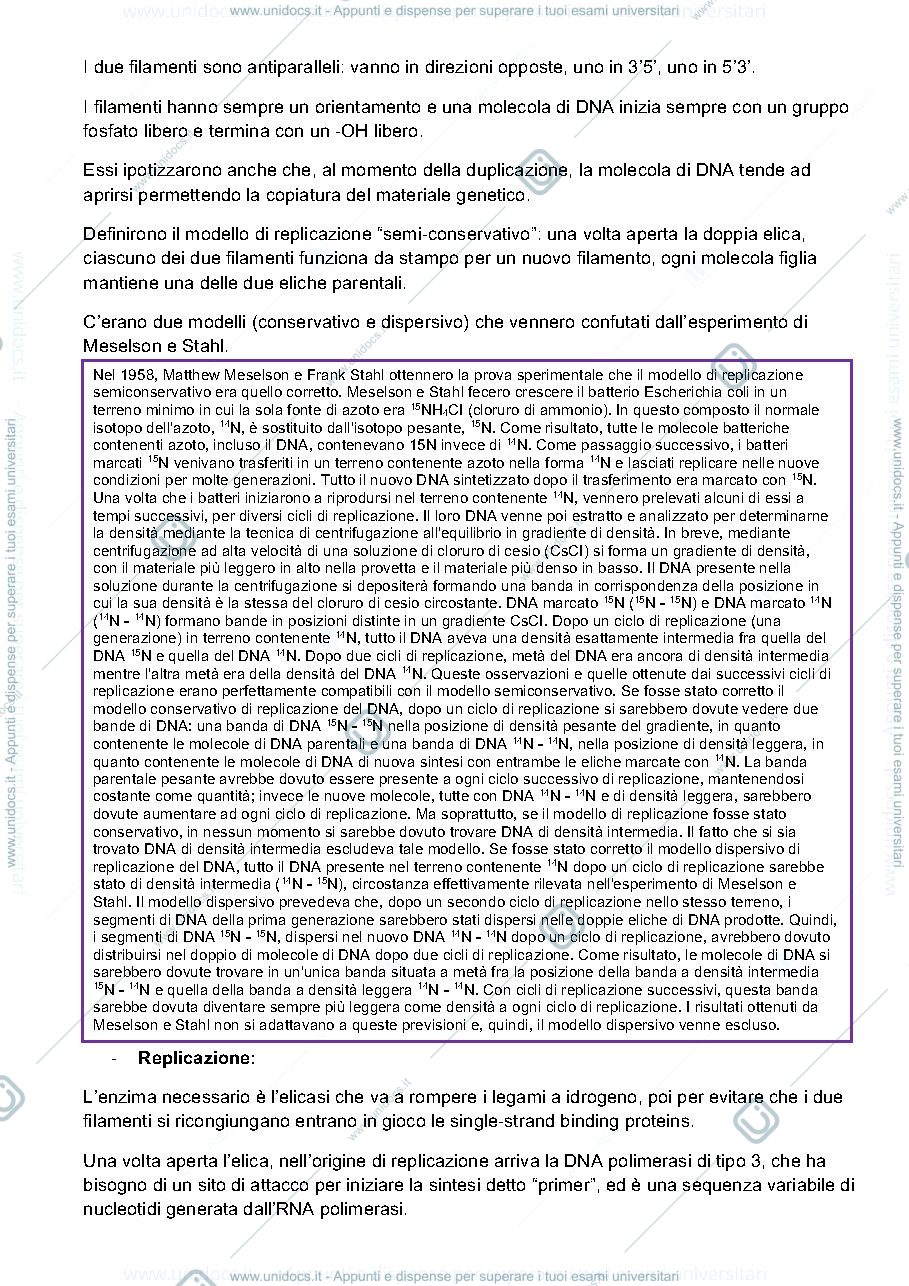 Anteprima pagina 3 — Genetica 