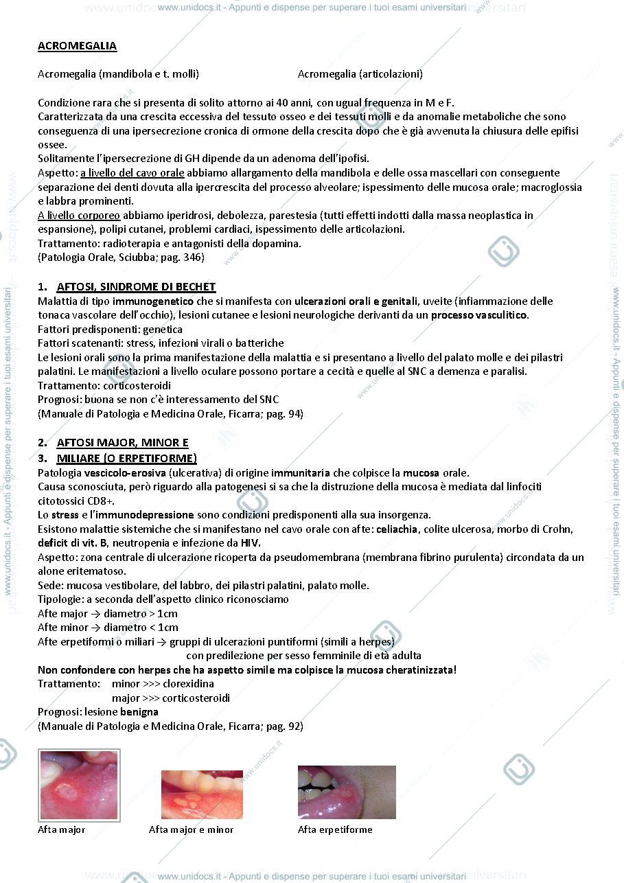Anteprima pagina 1 — Medicina interna