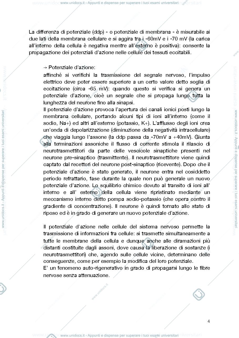 Anteprima pagina 4 — Principi e Modelli della Percezione