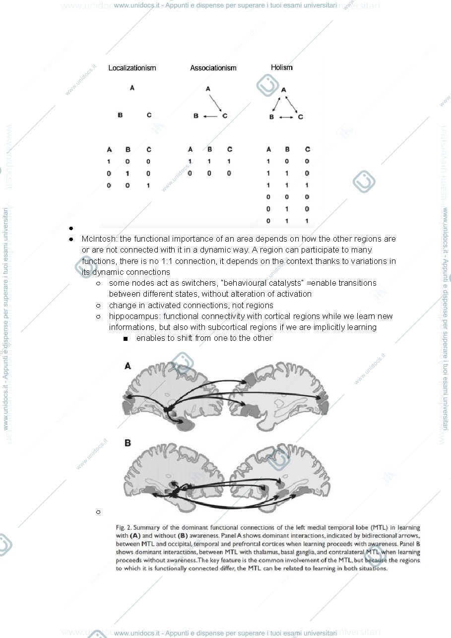 Anteprima pagina 2 — Holism