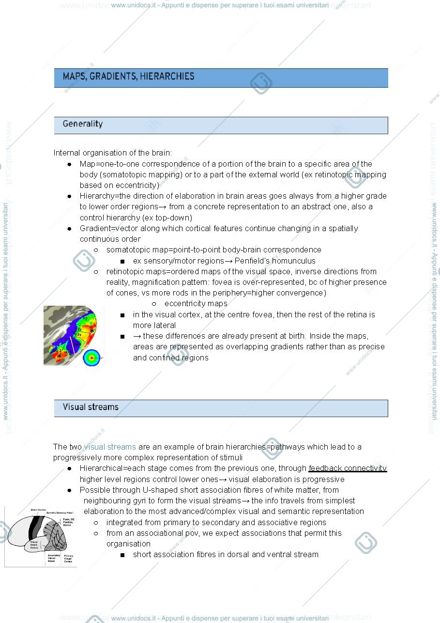 Anteprima pagina 1 — Brain gradients