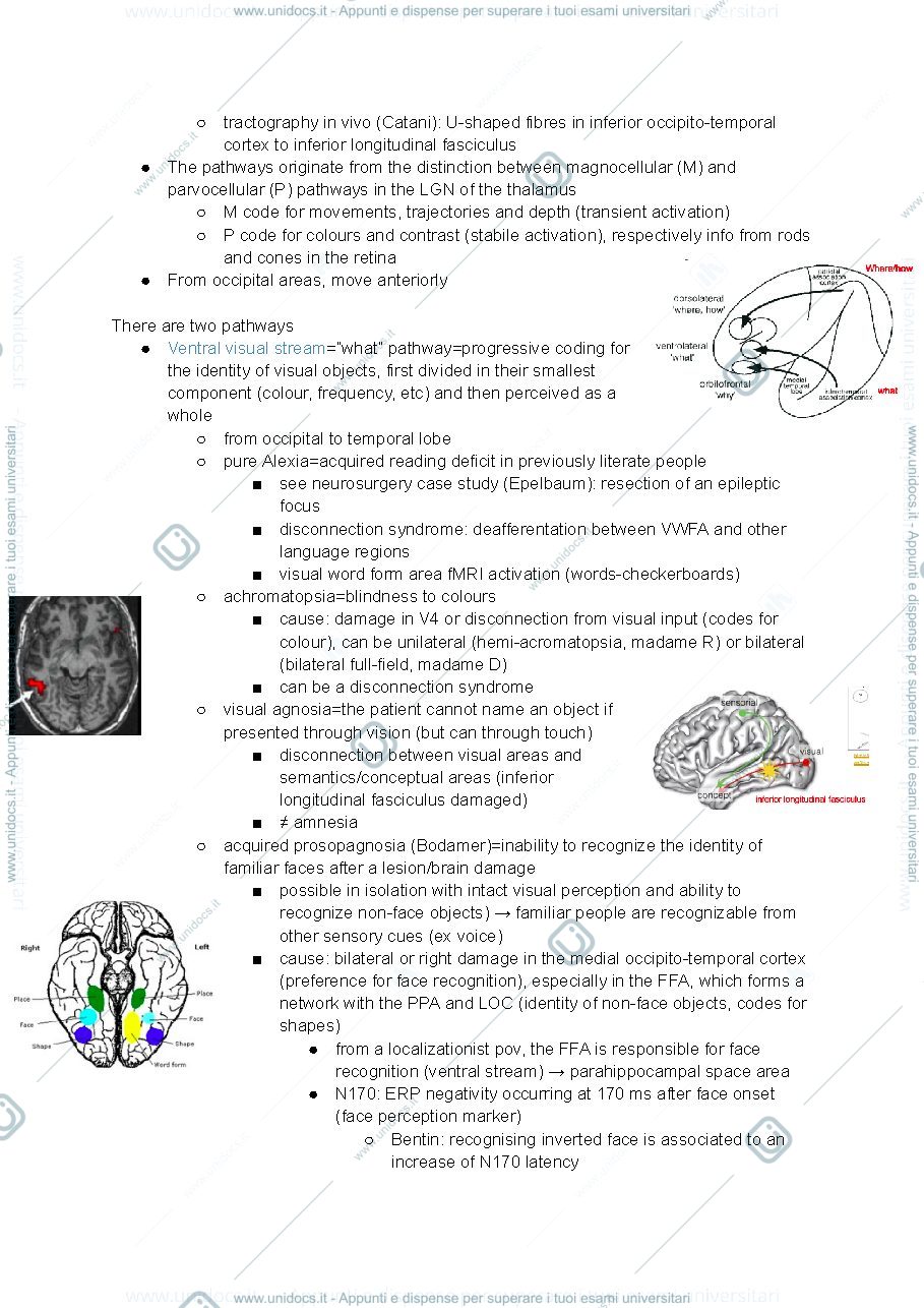Anteprima pagina 2 — Brain gradients