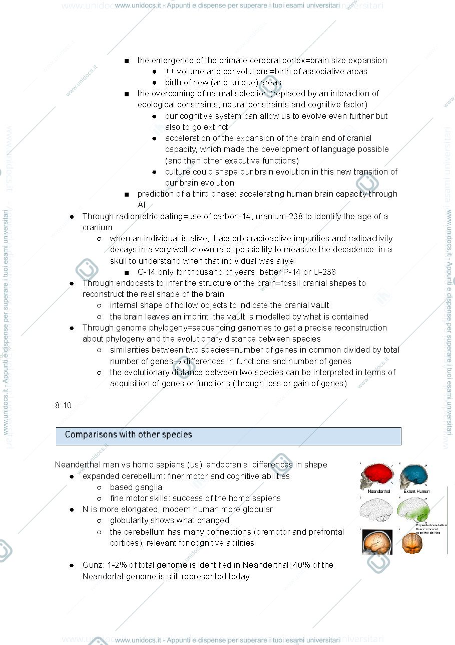 Anteprima pagina 2 — Brain phylogeny and ontogeny
