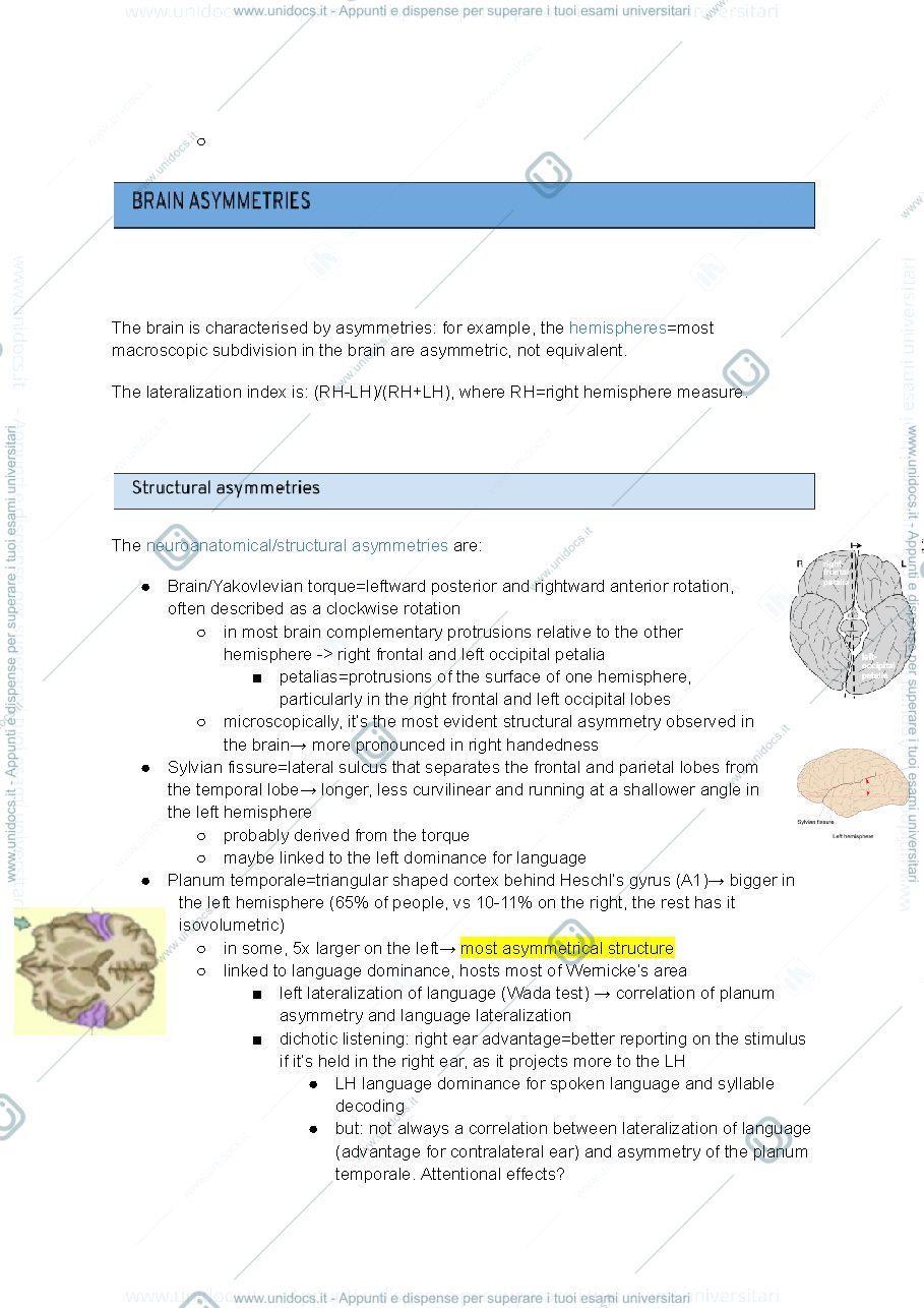 Anteprima pagina 1 — Brain asymmetries