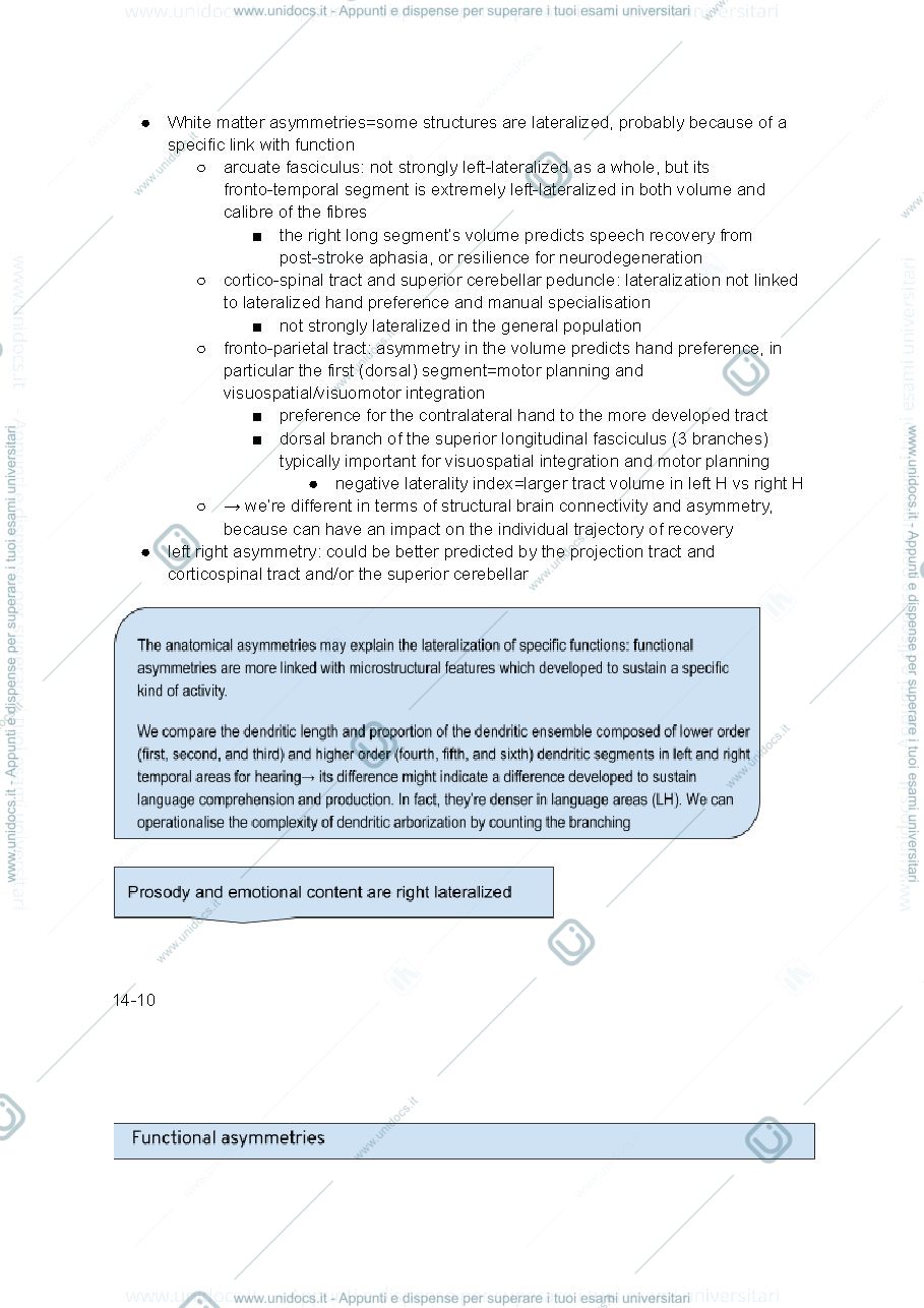Anteprima pagina 2 — Brain asymmetries