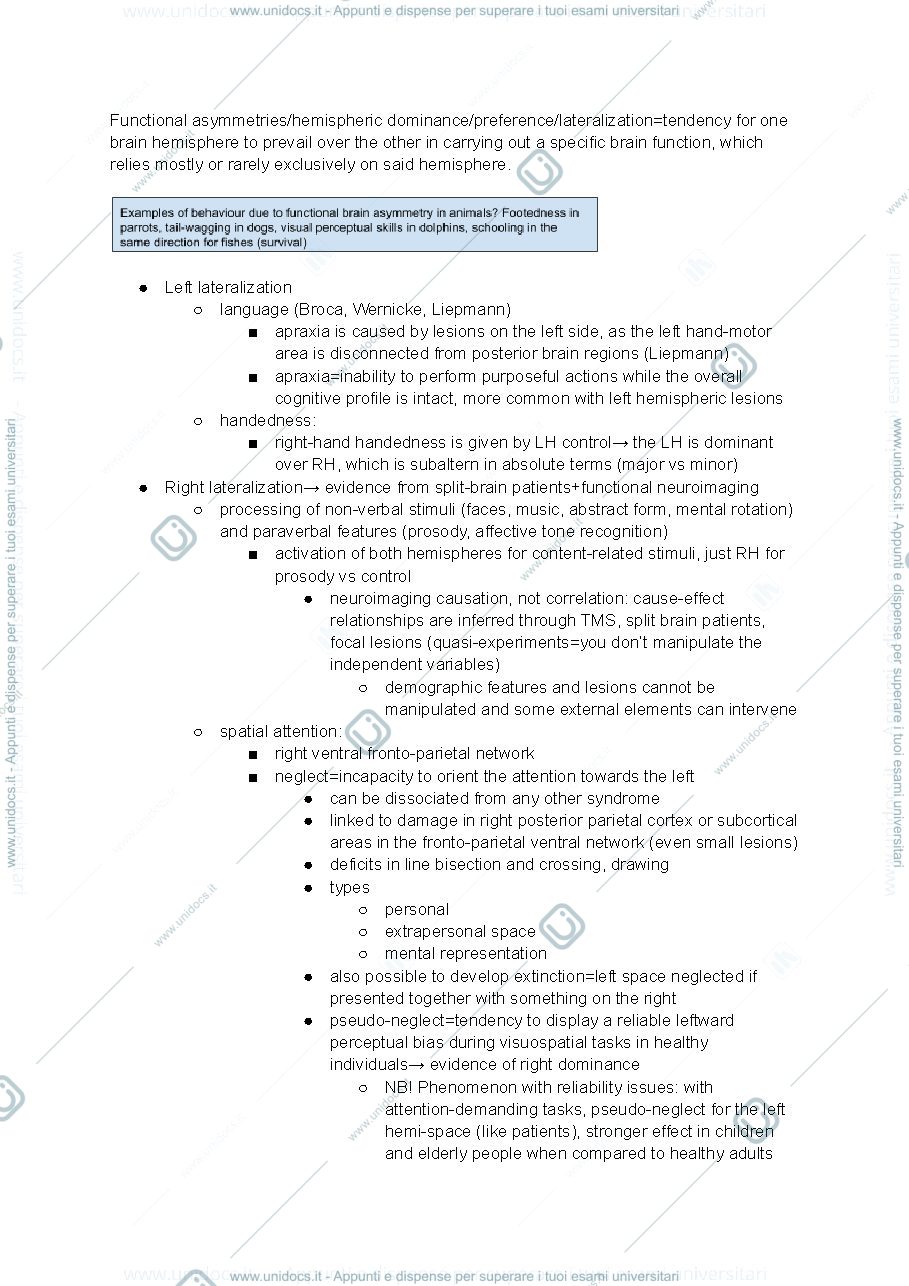 Anteprima pagina 3 — Brain asymmetries
