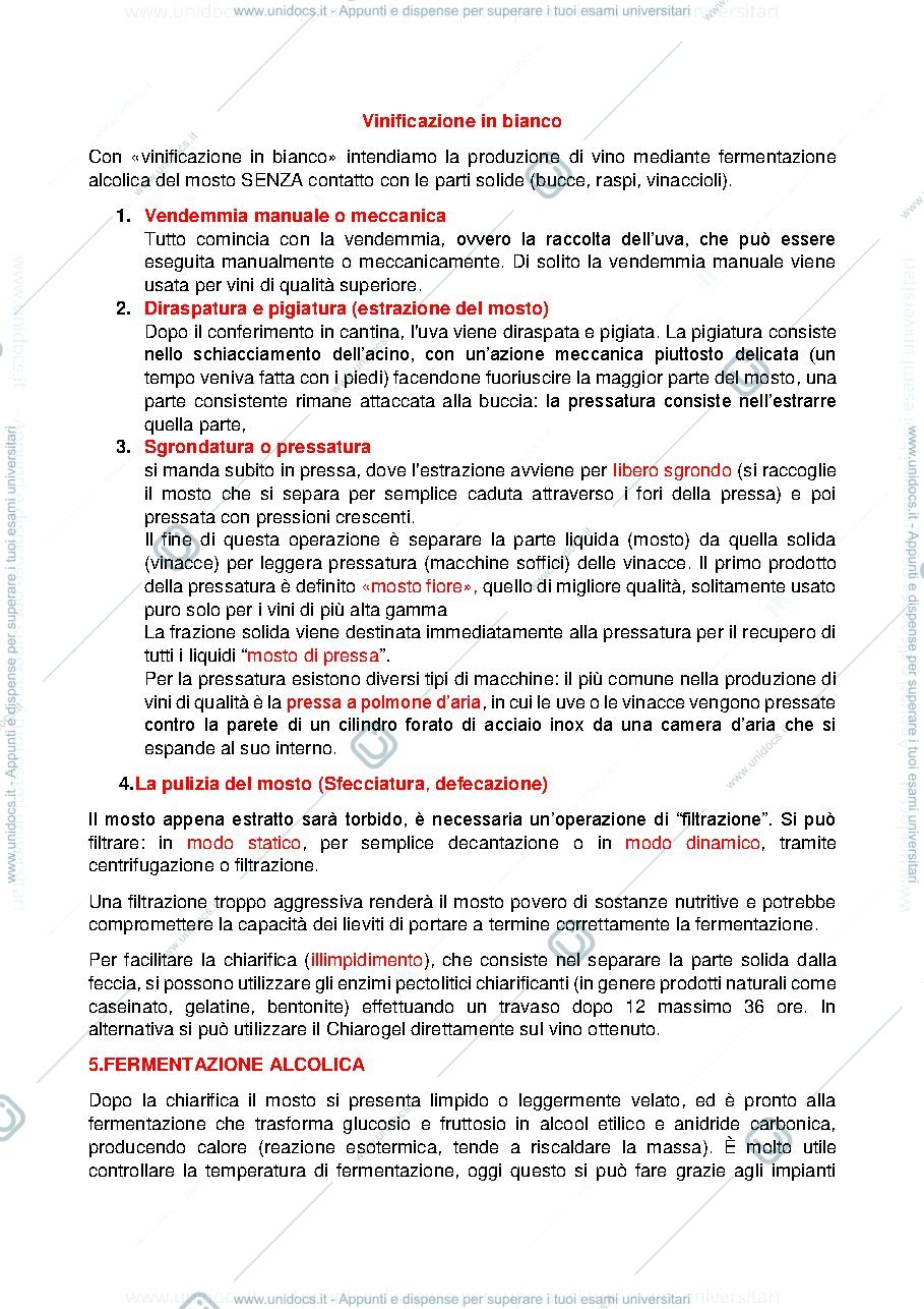 Anteprima pagina 1 — VINIFICAZIONE IN BIANCO