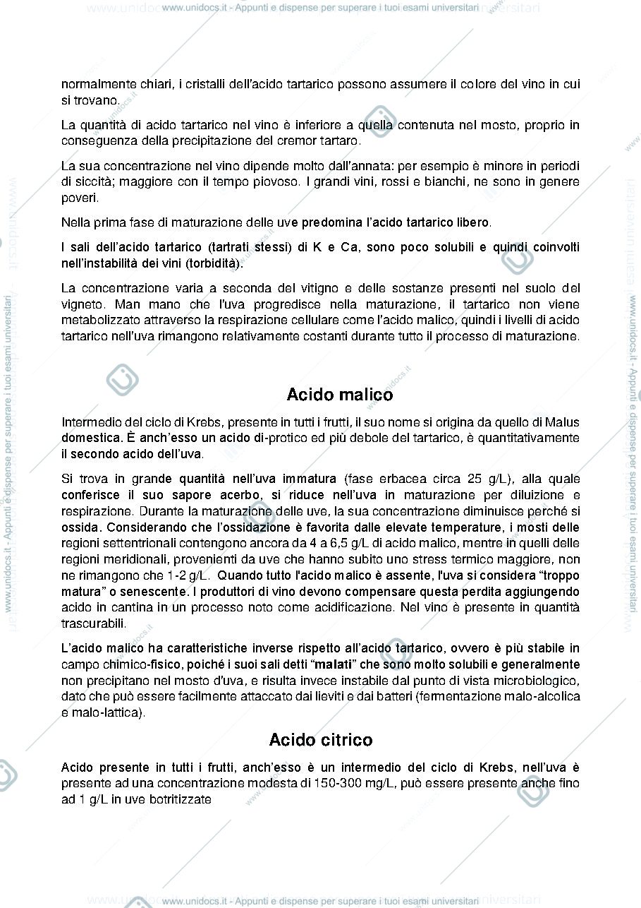 Anteprima pagina 2 — ACIDI DELL'UVA