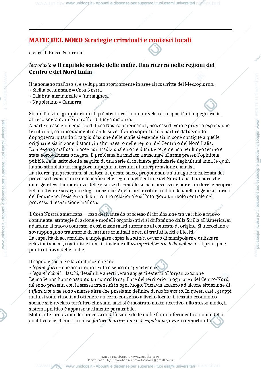 Anteprima pagina 2 — RIASSUNTO SCIARRONE