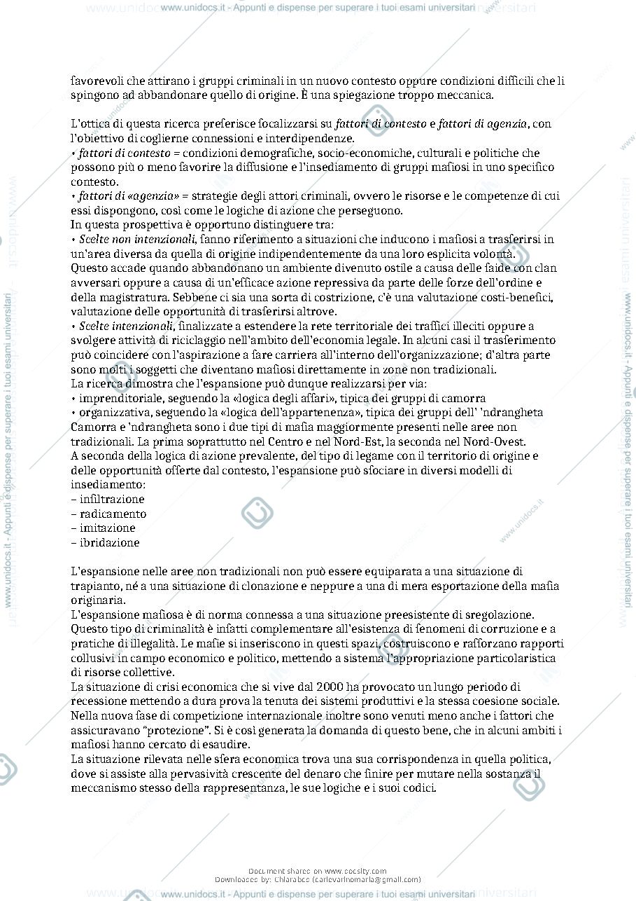 Anteprima pagina 3 — RIASSUNTO SCIARRONE