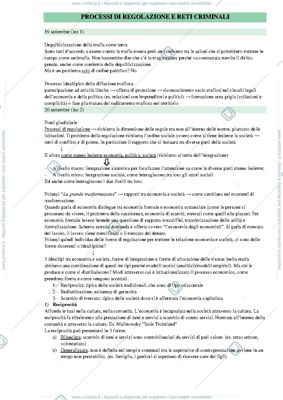 Anteprima pagina 1 — Appunti processi di regolazione e reti criminali 