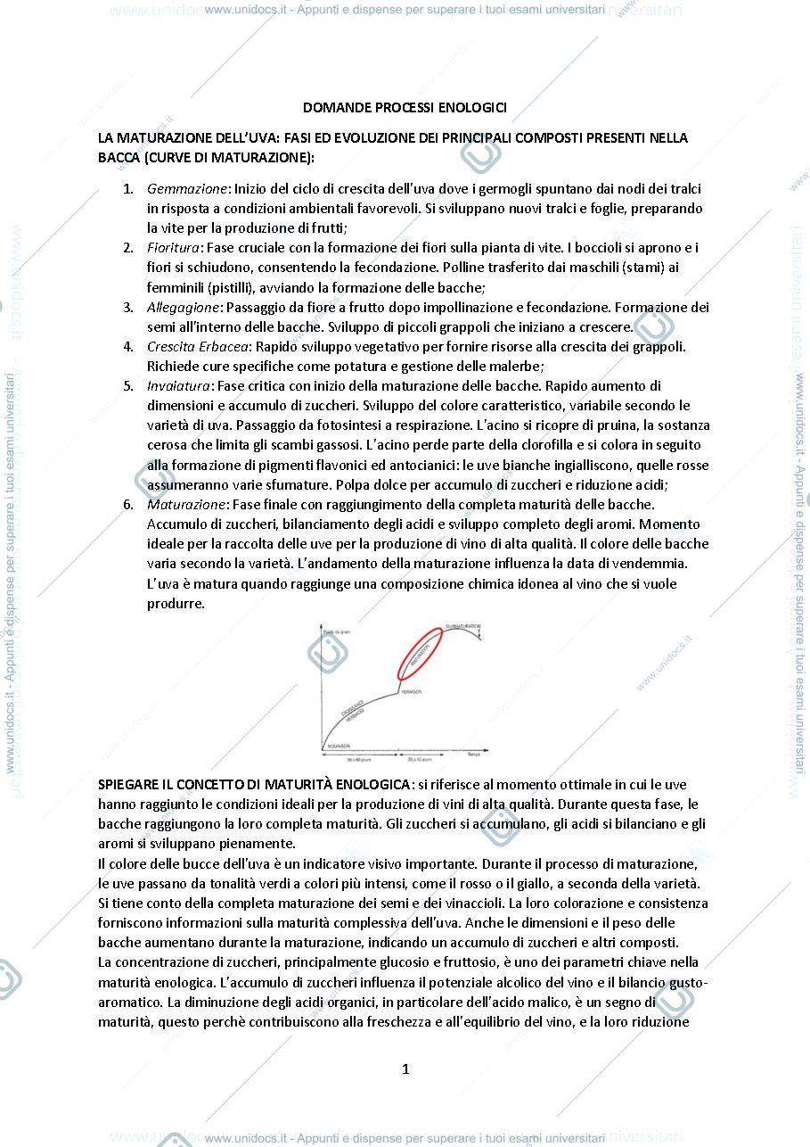 Anteprima pagina 1 — Domande processi enologici 