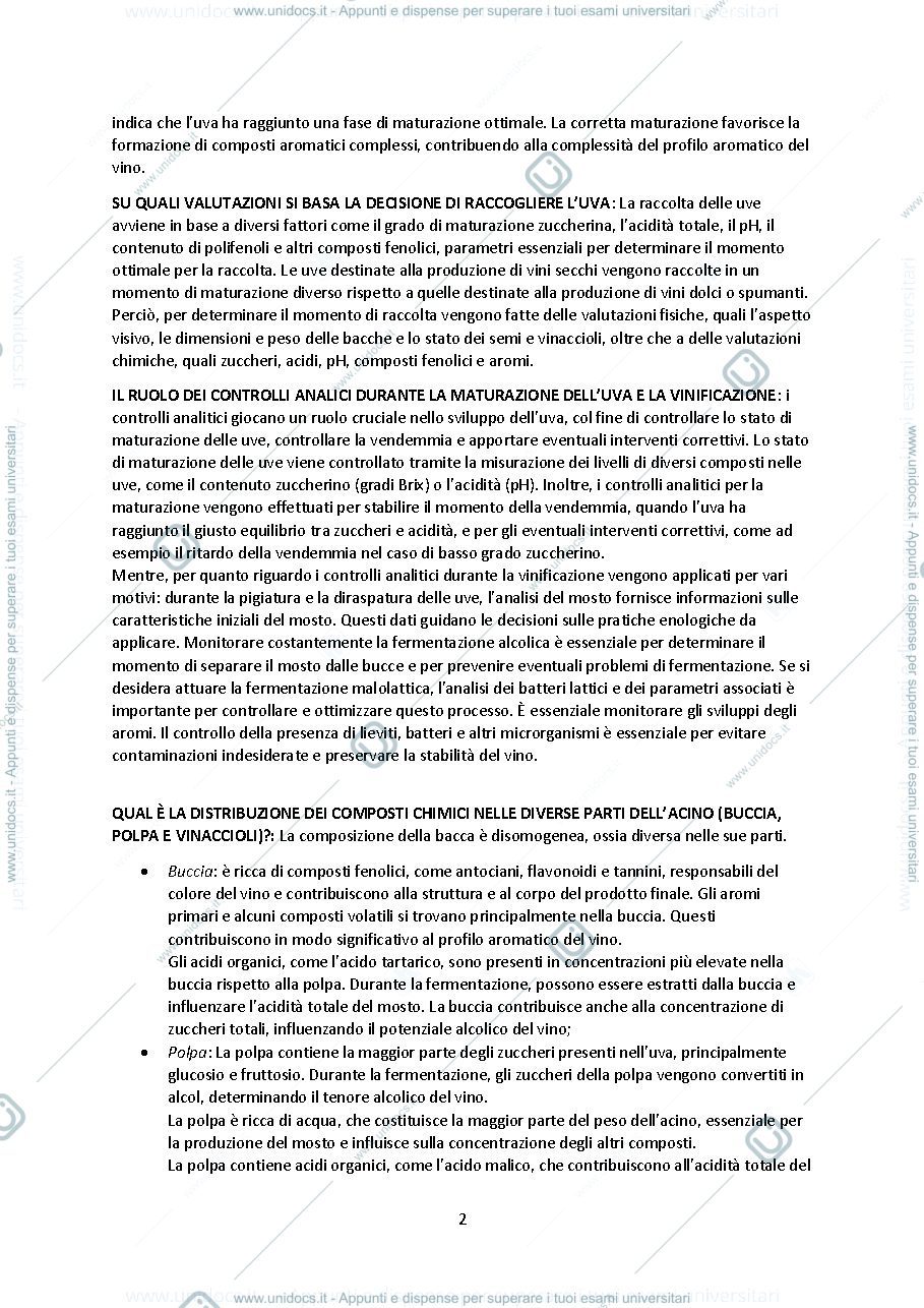 Anteprima pagina 2 — Domande processi enologici 