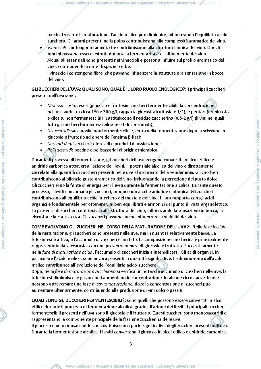 Anteprima pagina 3 — Domande processi enologici 