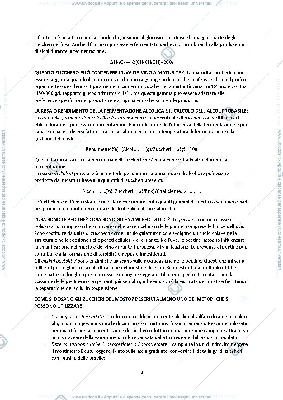 Anteprima pagina 4 — Domande processi enologici 