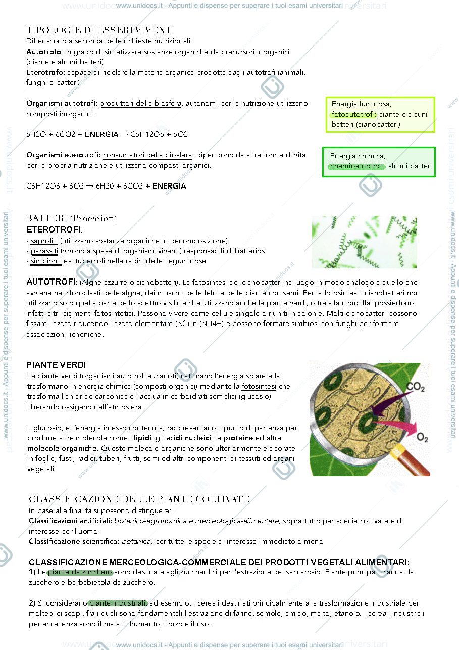 Anteprima pagina 2 — Prodotti vegetali primo parziale