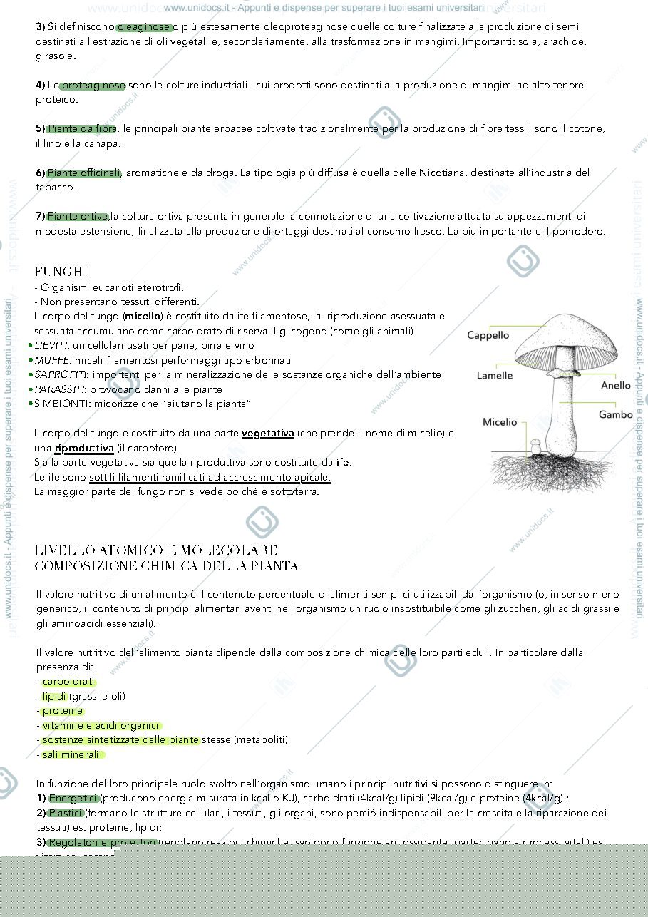 Anteprima pagina 3 — Prodotti vegetali primo parziale