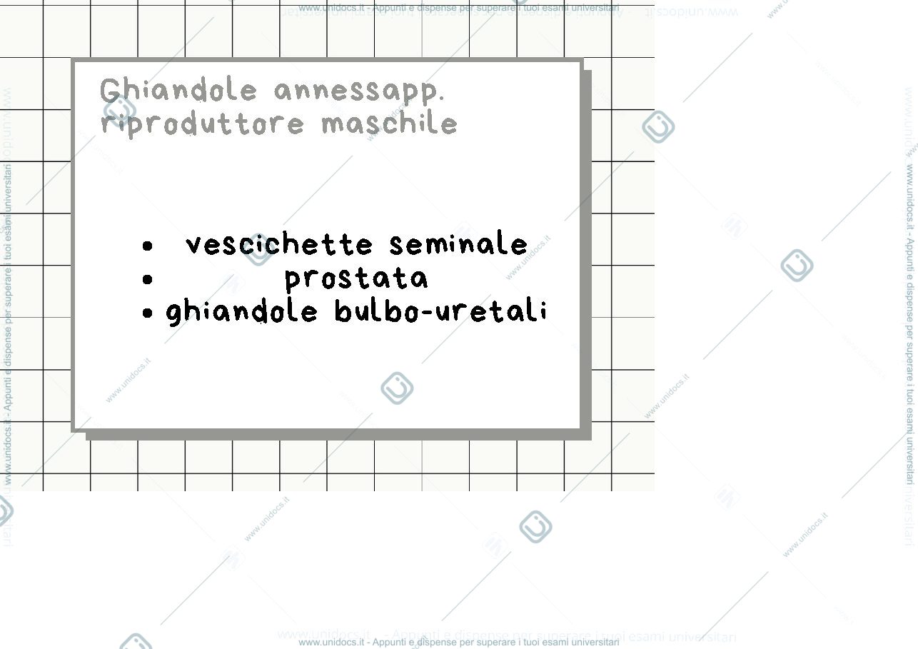 Anteprima pagina 1 — Flashcards