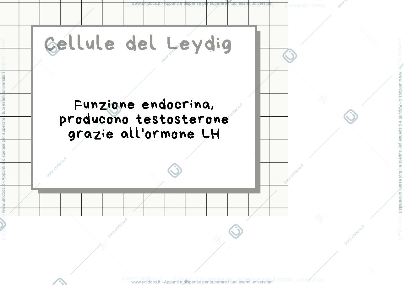 Anteprima pagina 2 — Flashcards