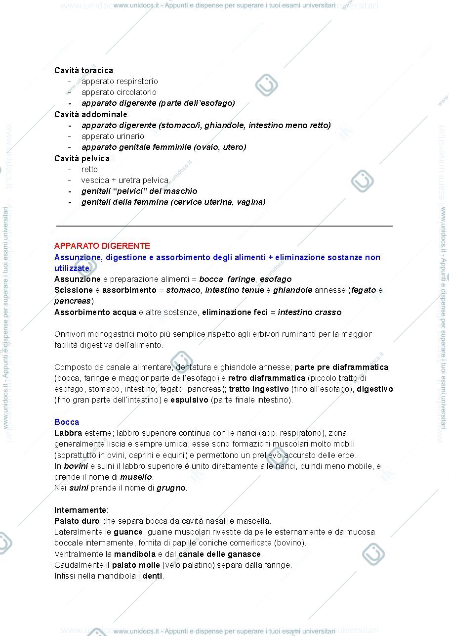 Anteprima pagina 3 — Produzione di materie prime di origine animale